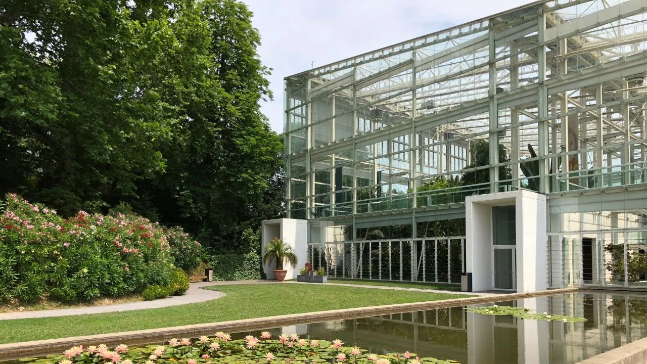 University of Padua botanical garden