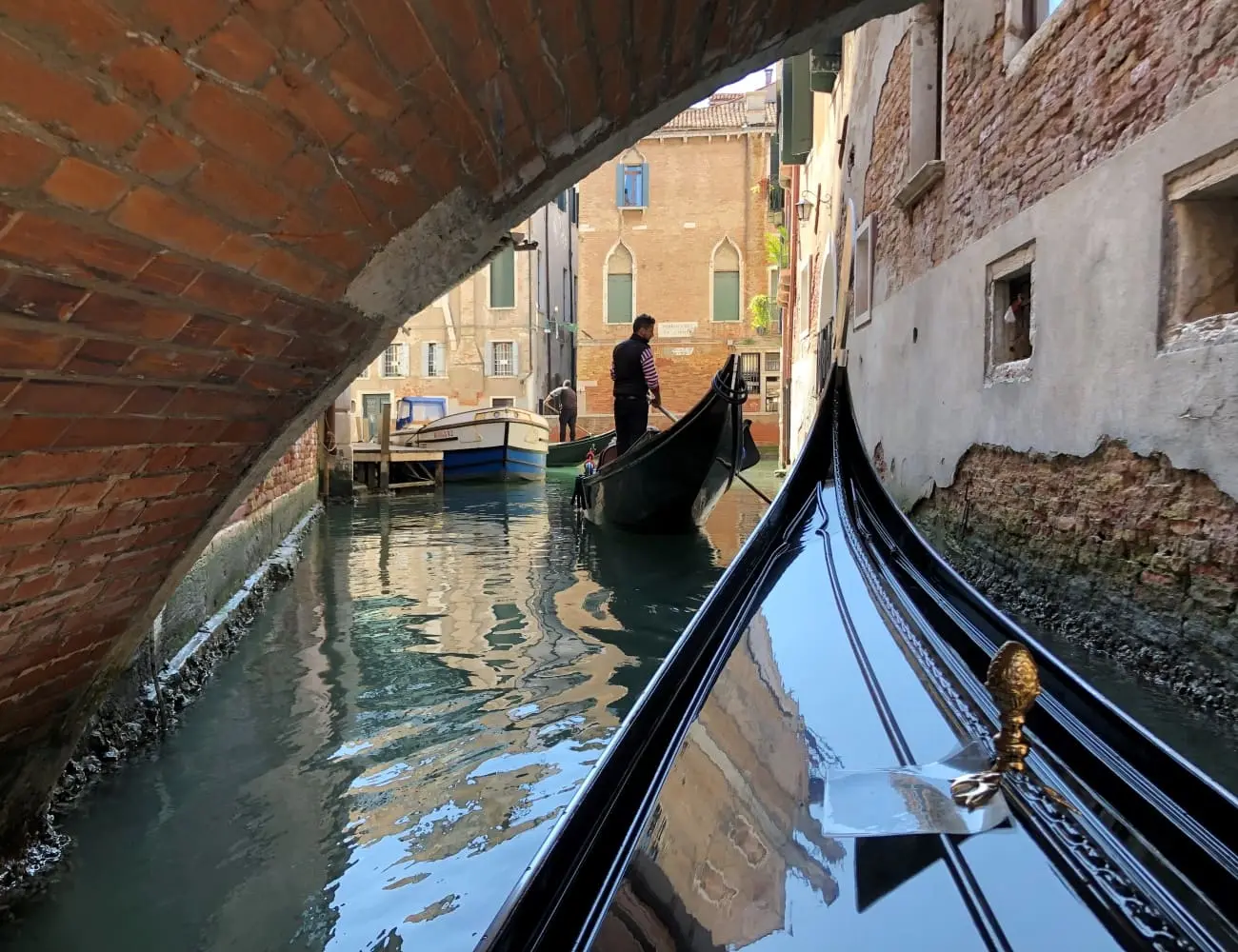 Unforgettable Venice: Doge&#39;s Palace, Discover Venice Walking Tour and Shared Gondola Ride