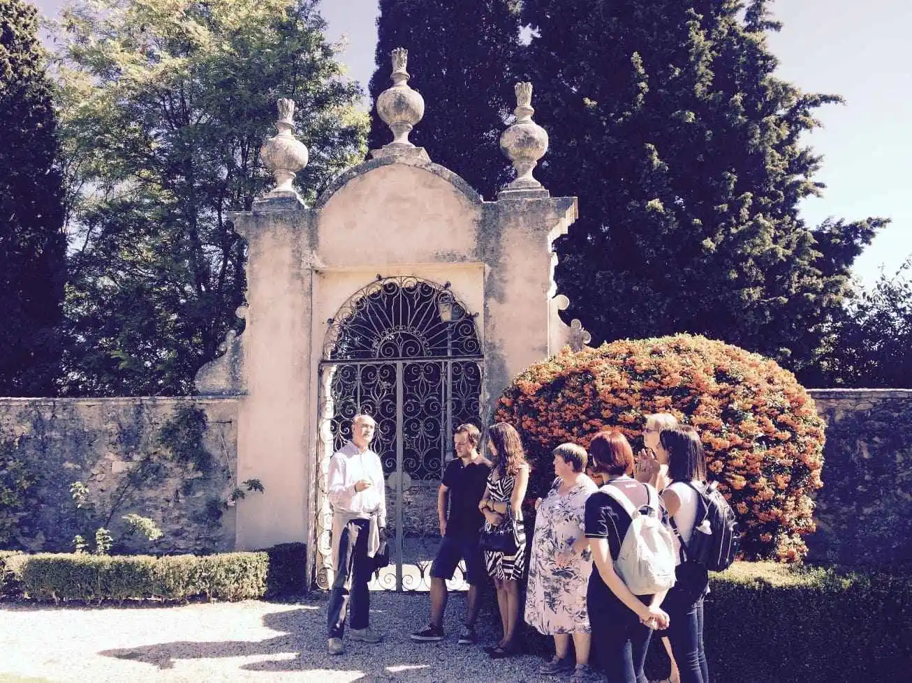 Tour Colli Berici: Grappe, Baccalà e Castello di Montegalda, image size:1306x979