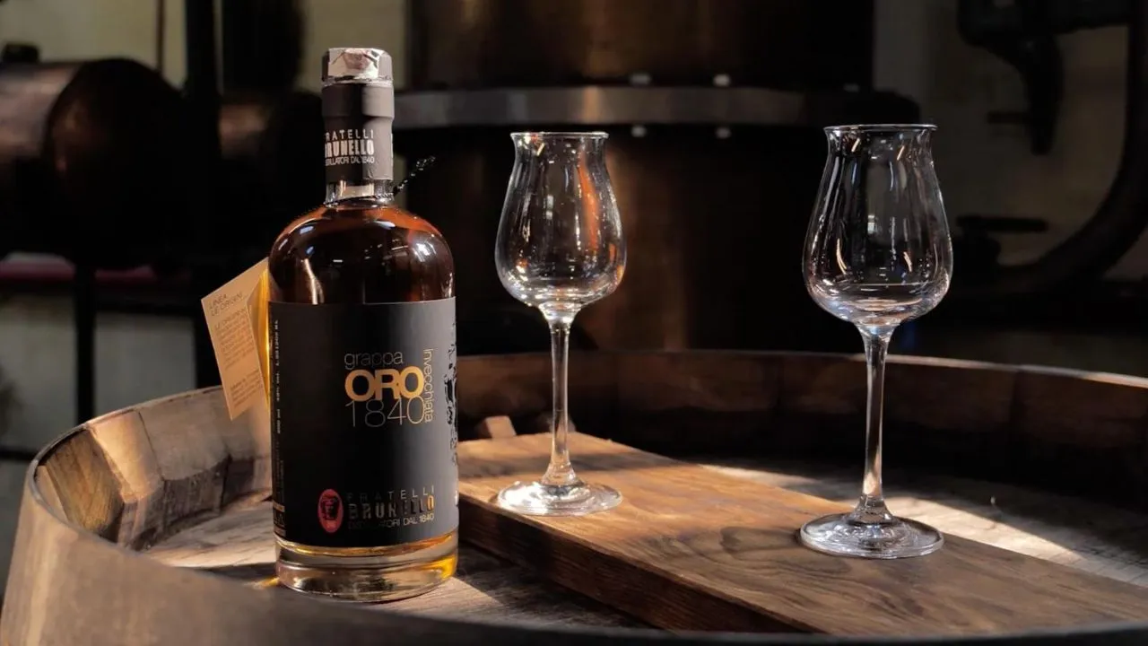 Visit and grappa tasting at Italy's oldest running artisanal distillery in  the Colli Berici, typical lunch, and tour of Montegalda Castle, image size:1280x720