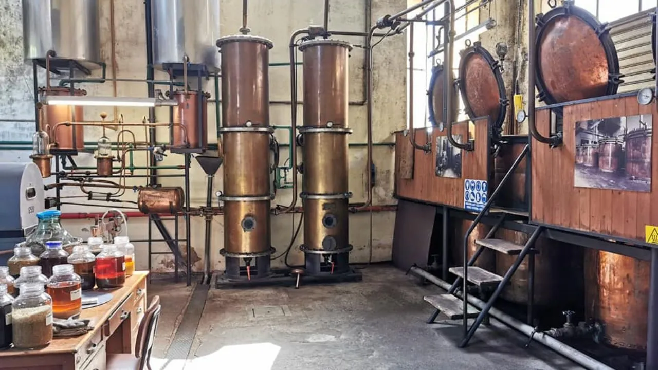 Le Virtu' In Tavola (@levirtuintavolarestaurant) • Instagram photos and  videos, image size:1280x720